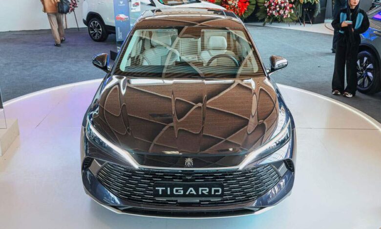 BYD QIN L