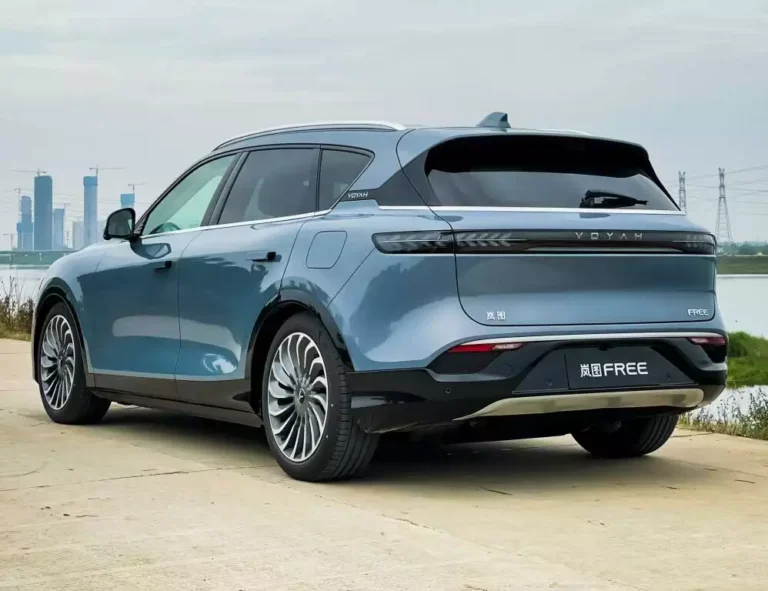 بررسی وویا فری