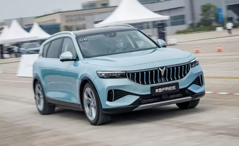 بررسی وویا فری