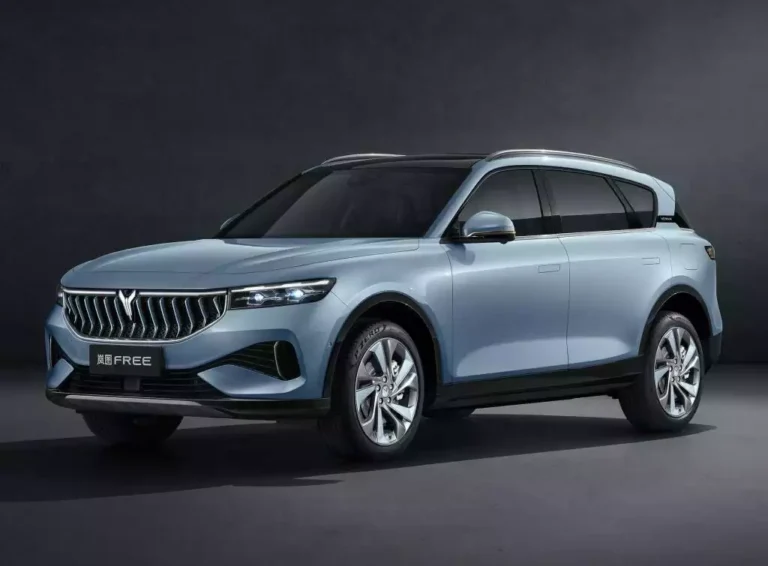 بررسی وویا فری