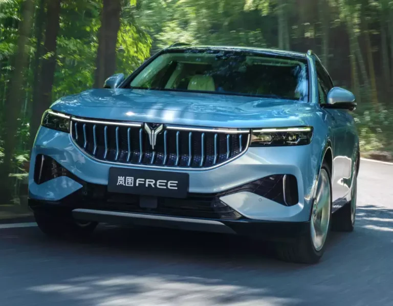 بررسی وویا فری