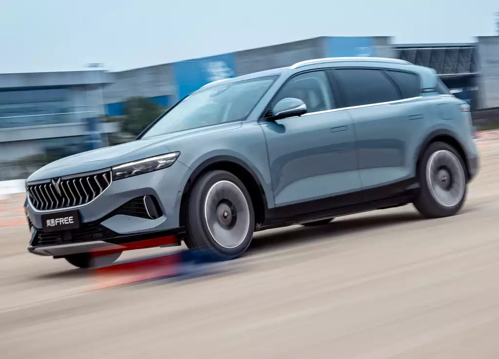 بررسی وویا فری